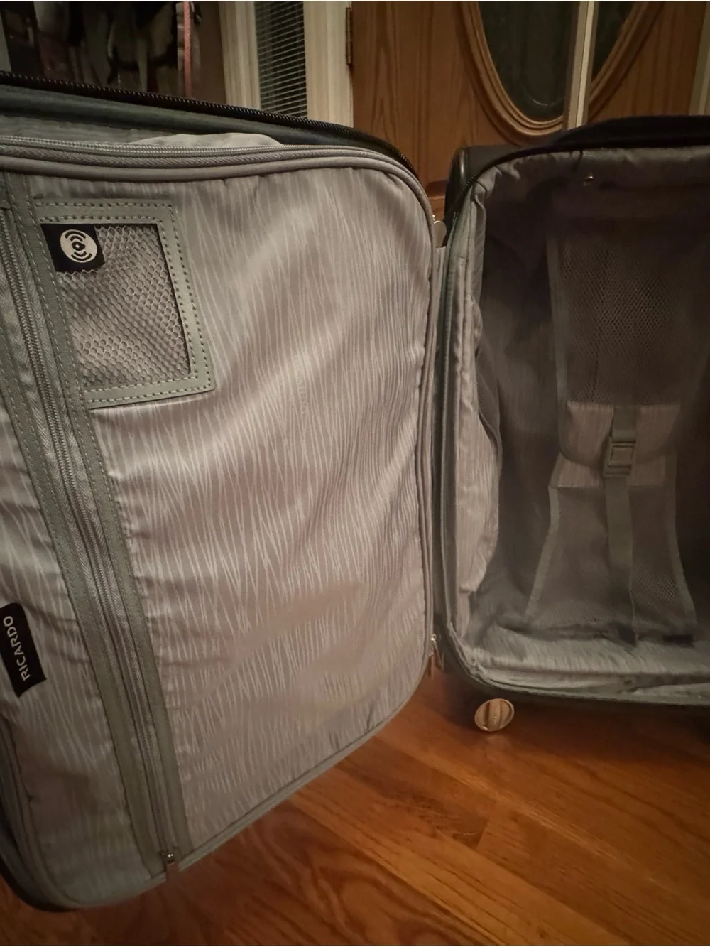 Ricardo Black Carry-On Spinner Suitcase
